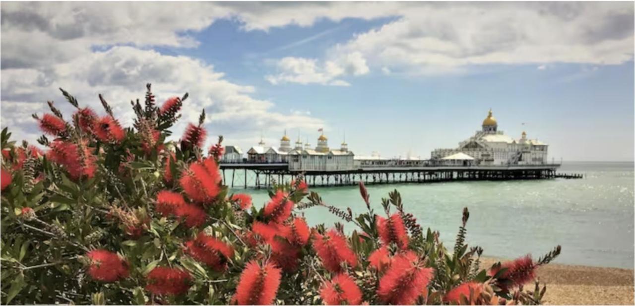 Burlington Palace Eastbourne Seafront Villa With Garden. Экстерьер фото